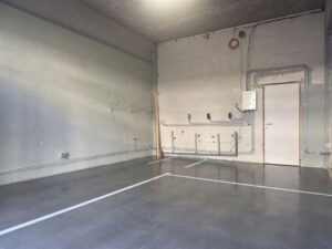 E1638893055496988472_31AL.jpg